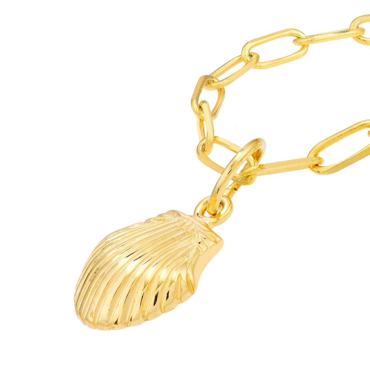 SEASHELL Mini Pendant on Paper Clip Chain