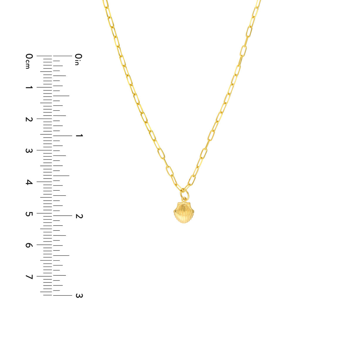 SEASHELL Mini Pendant on Paper Clip Chain