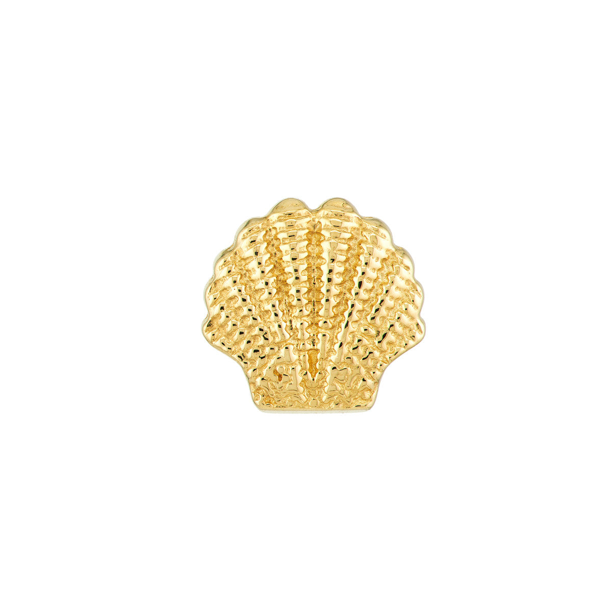SEASHELL Mini Studs