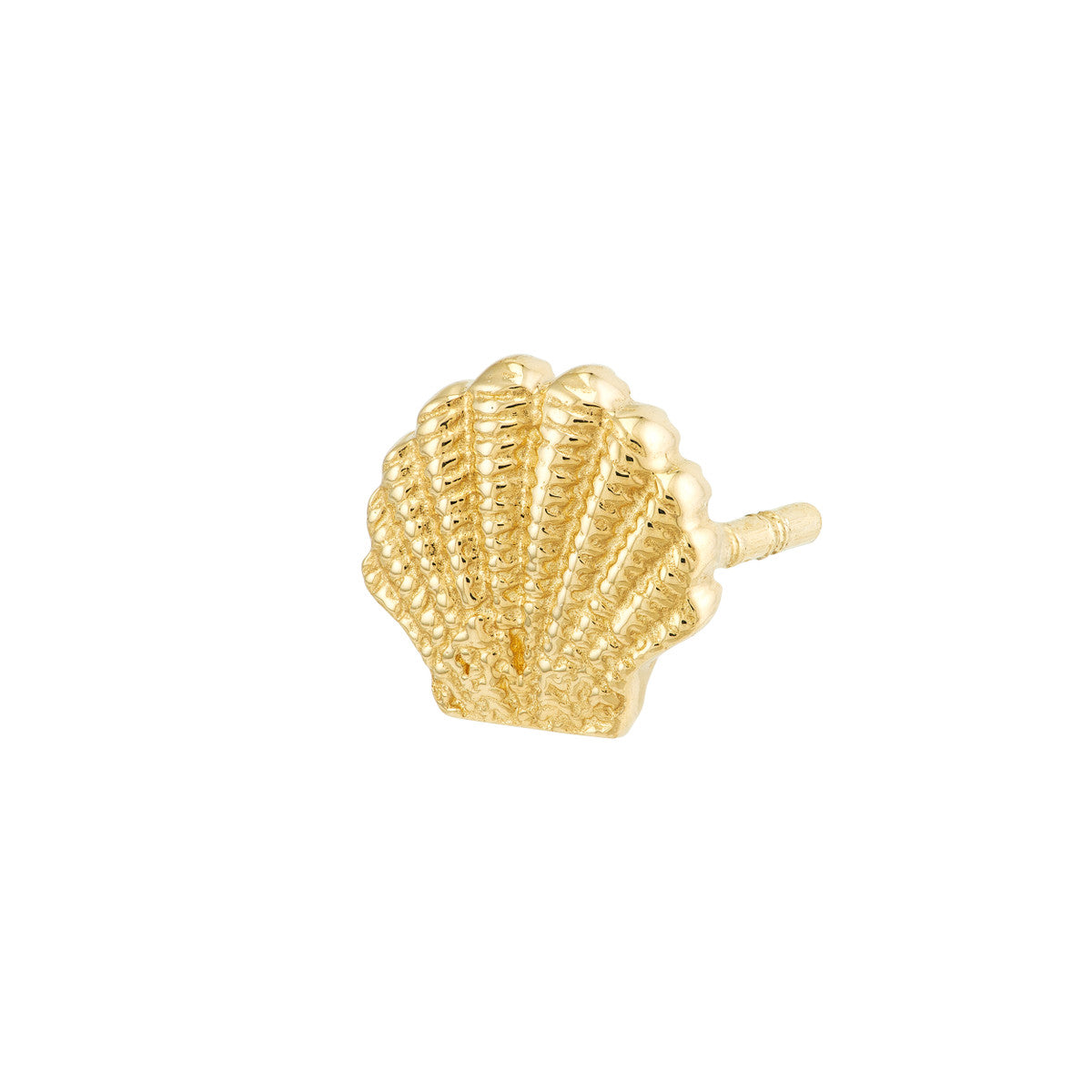 SEASHELL Mini Studs