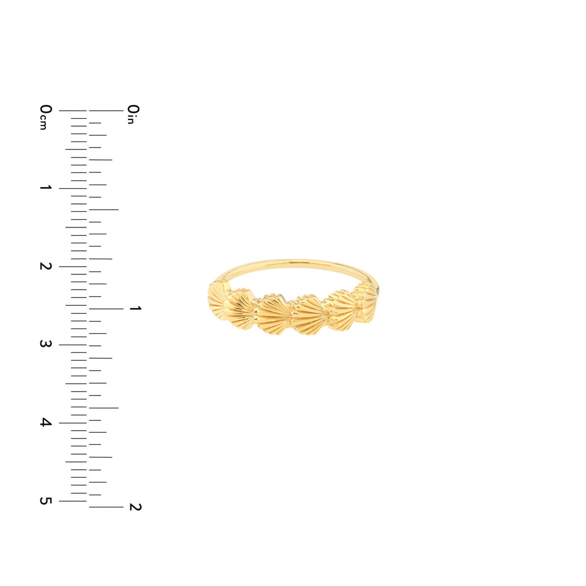 SEASHELL Scalloped Ring